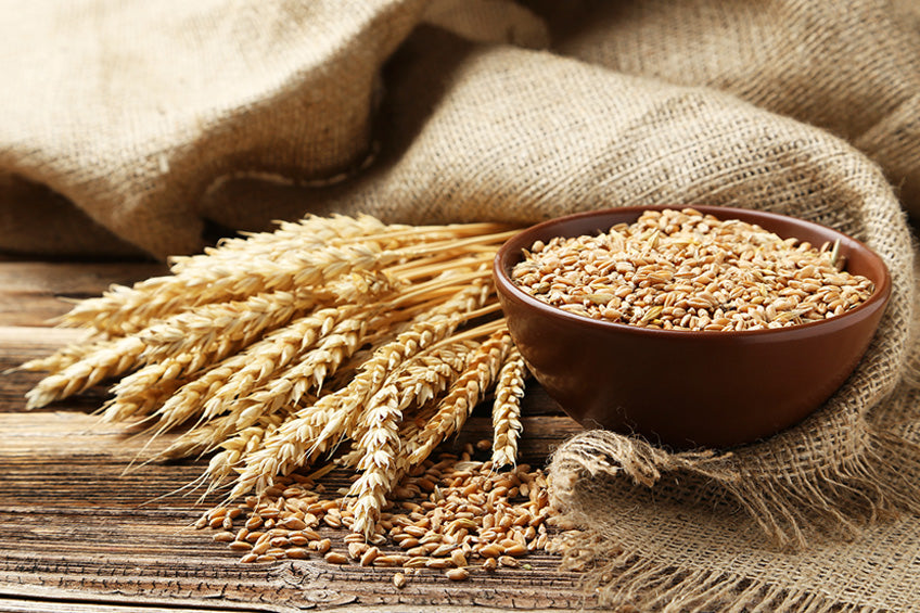 Hydrolyzed Wheat Protein Safety in Cosmetics: A Comprehensive Guide for Gluten Sensitivity