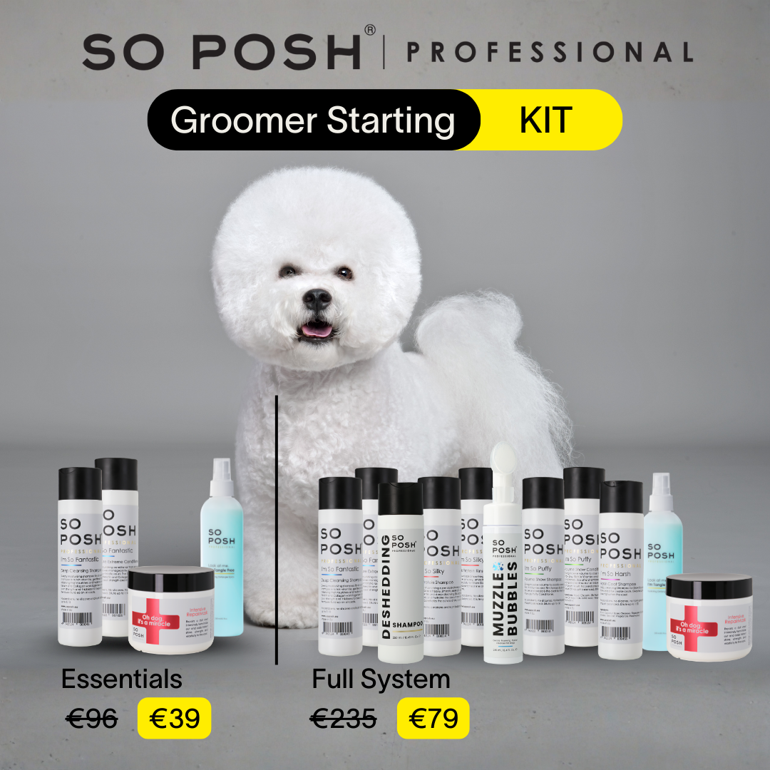 So Posh Professional grooming kit with a white dog and various products on a gray background