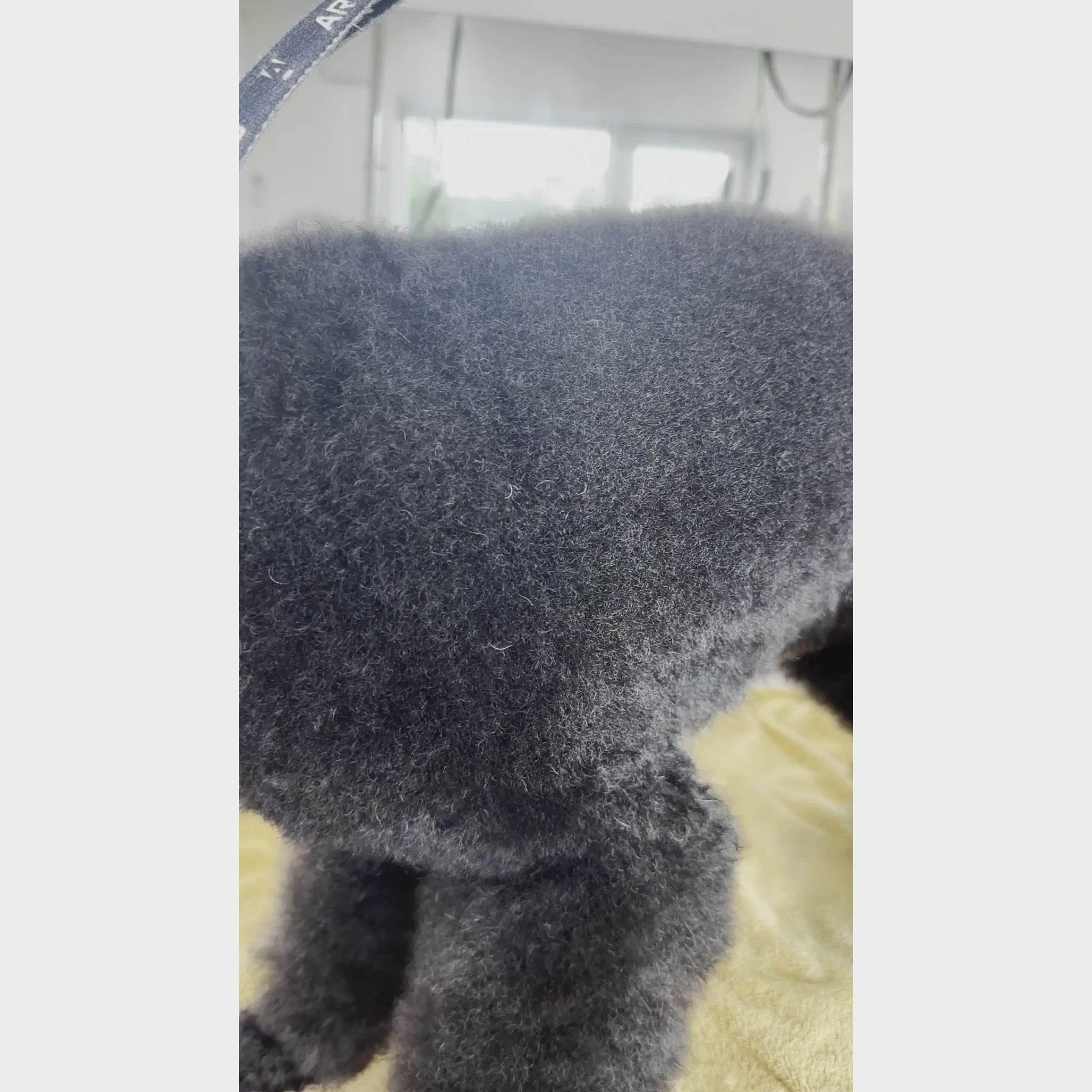 Groomer Starting Kit