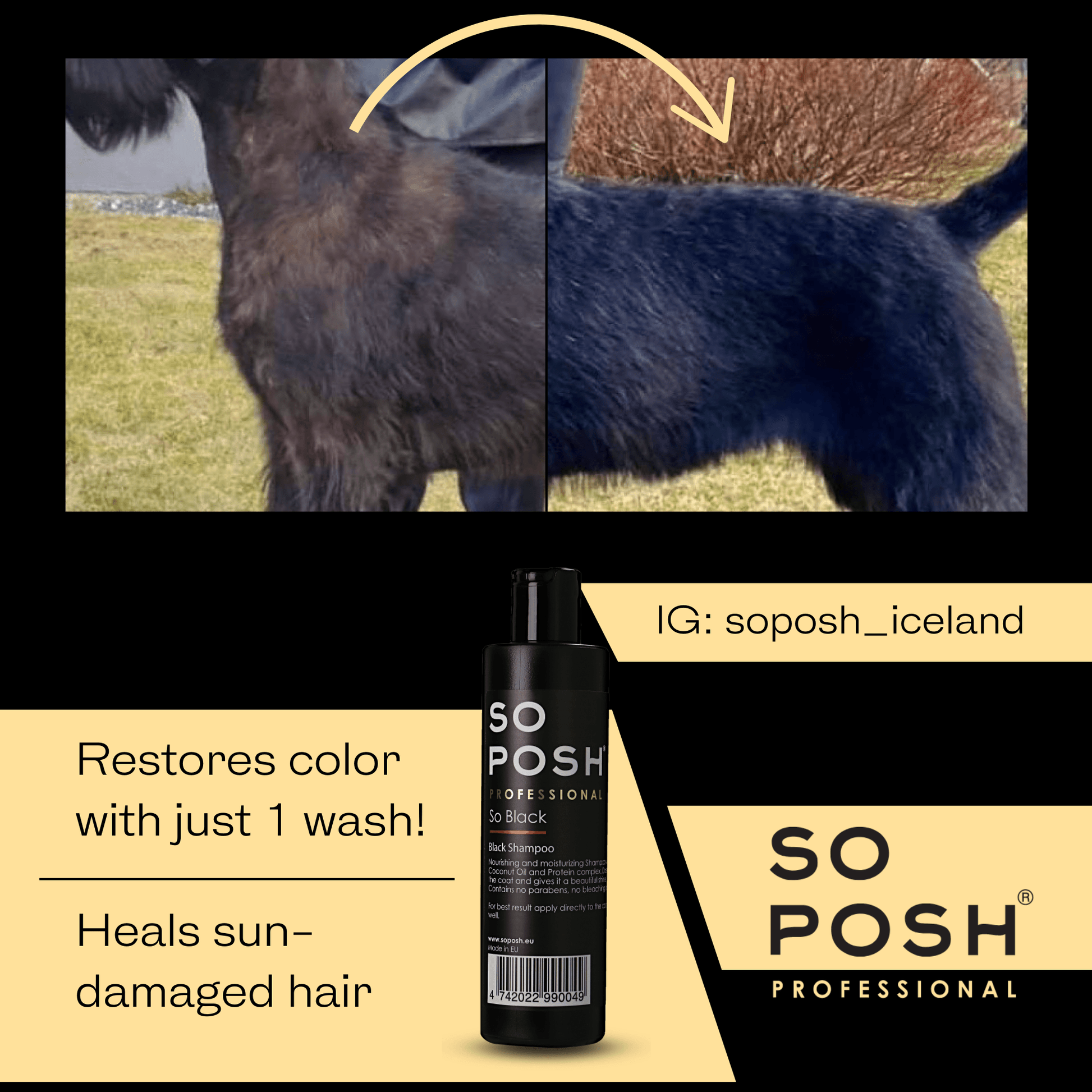 SO POSH So Black Shampoo So Posh