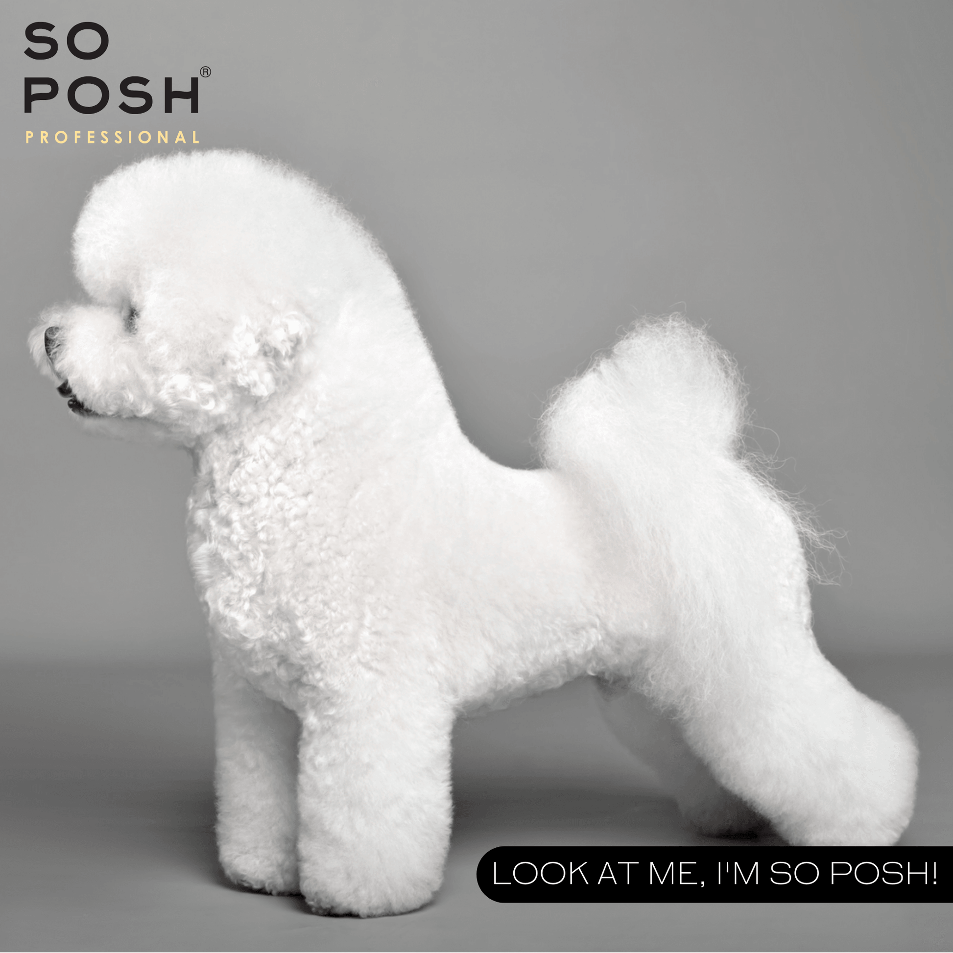 So White Shampoo - SO POSH